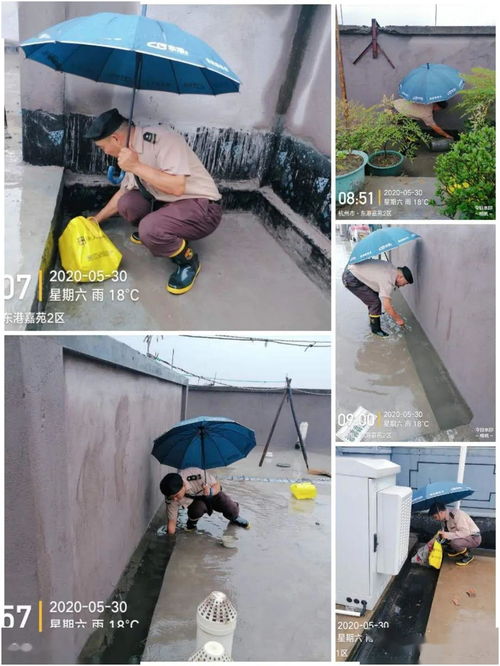 野风东港嘉苑项目物业服务中心5月第五周工作简报（建筑物清洁服务）